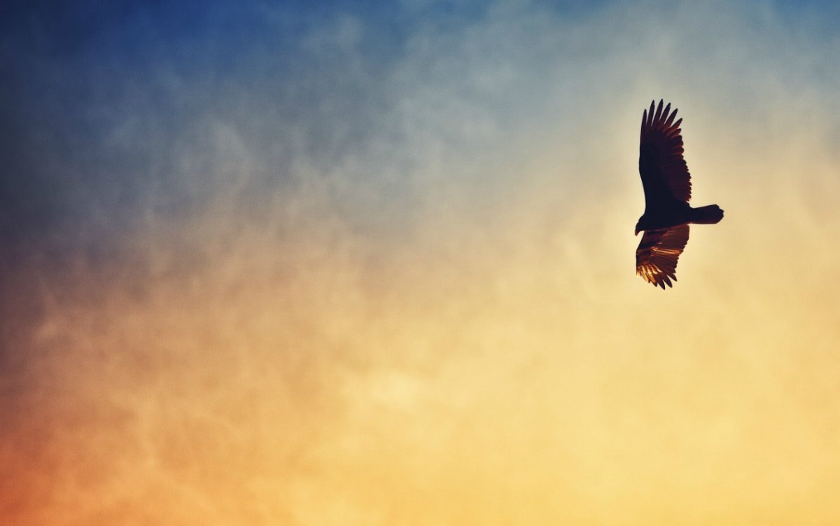 Стильные поздравления с днем рождения мужчине