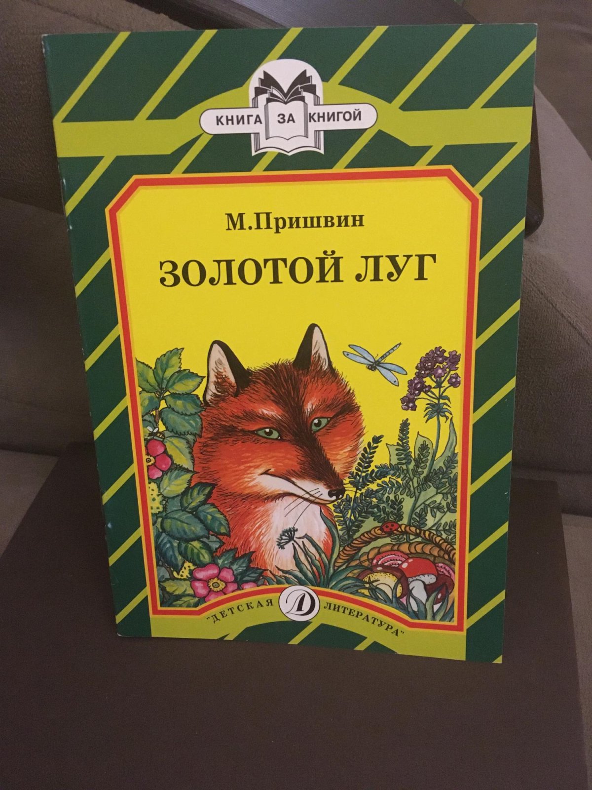 Пришвин золотой луг книга