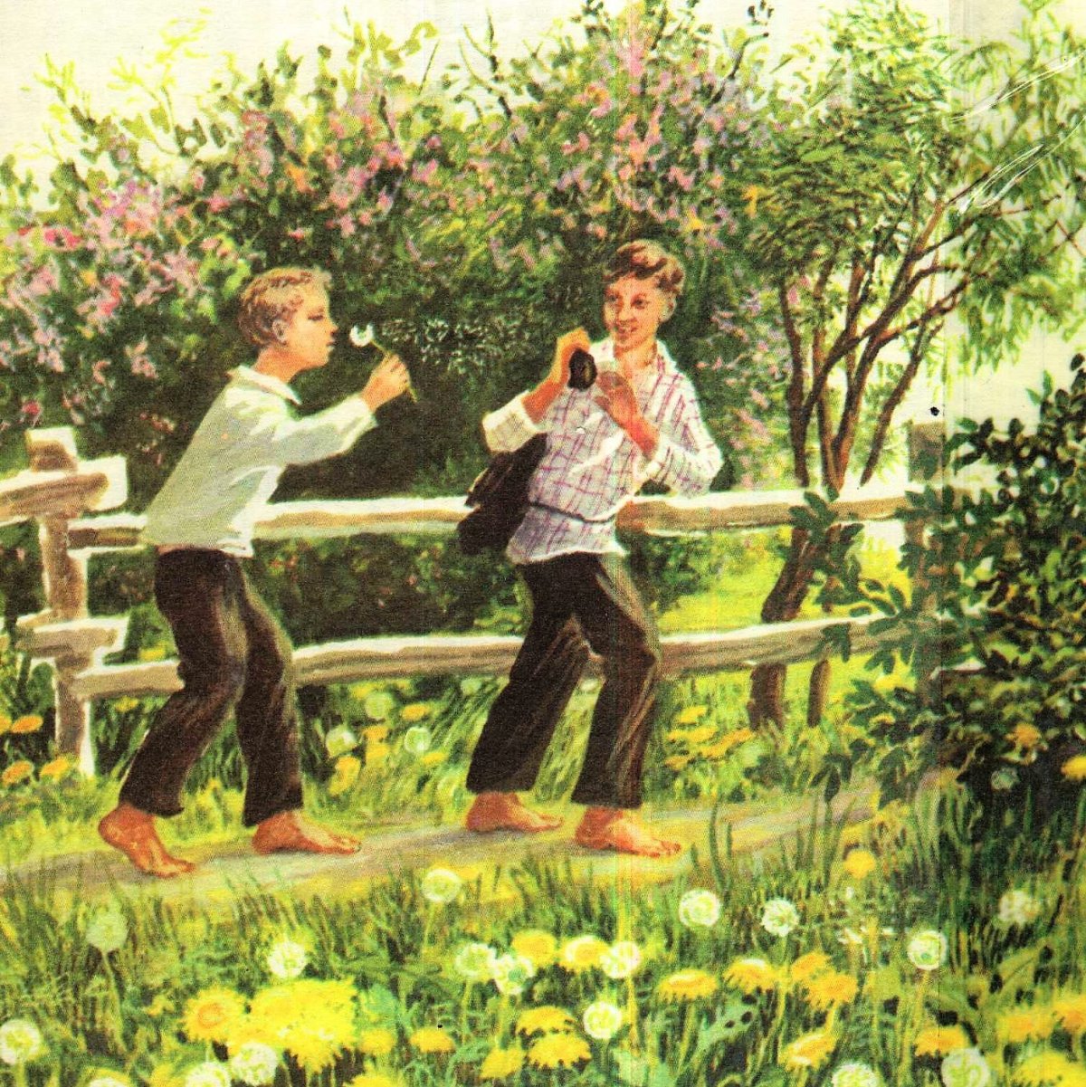 Золотой луг Михаил пришвин рисунок