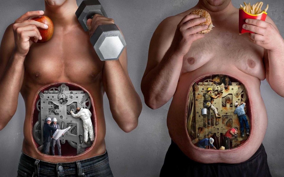 Здоровье и долголетие