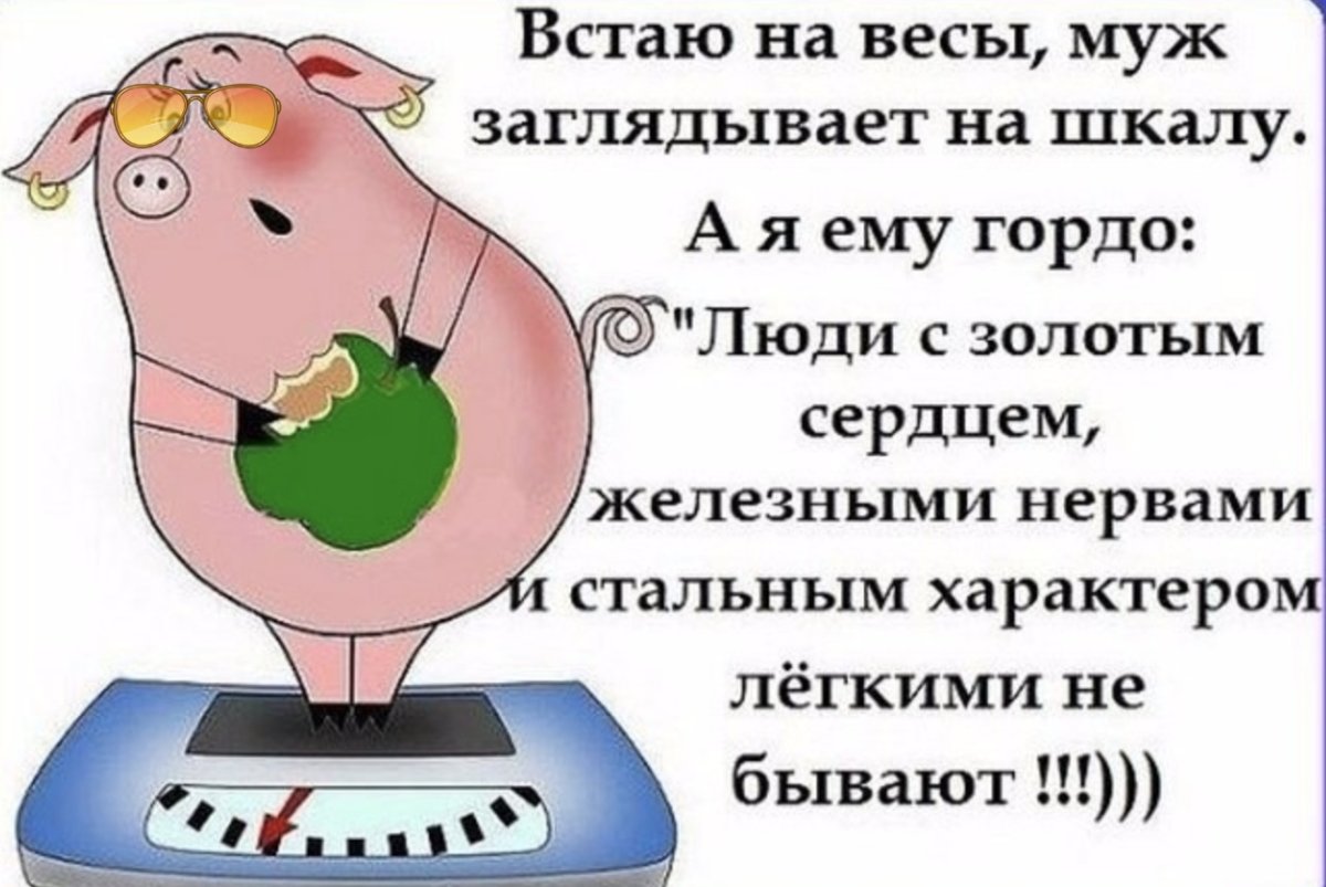 Шутки про лишний вес