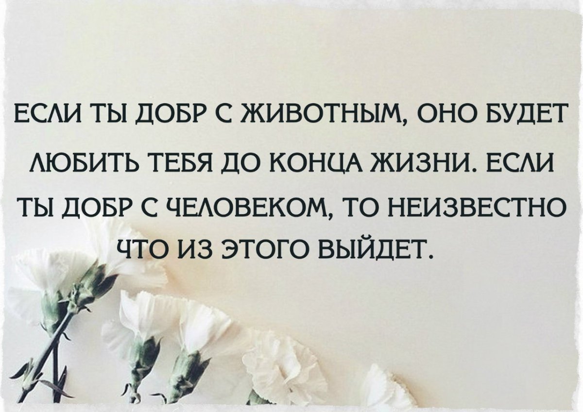 Оскар Уайльд про клевету