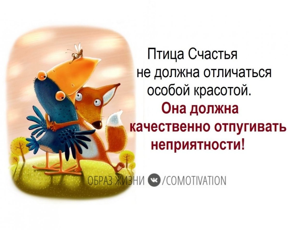 Феникс птица счастья