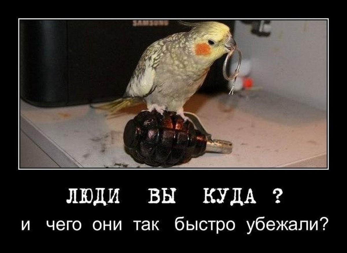 Пичка с днём рождения смешная