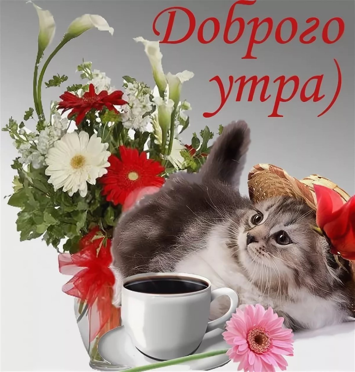 Открытки доброе утро