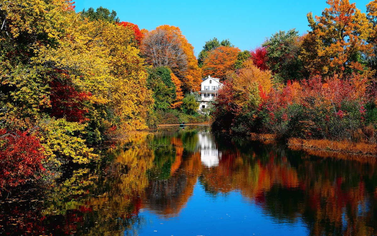 Природа осень