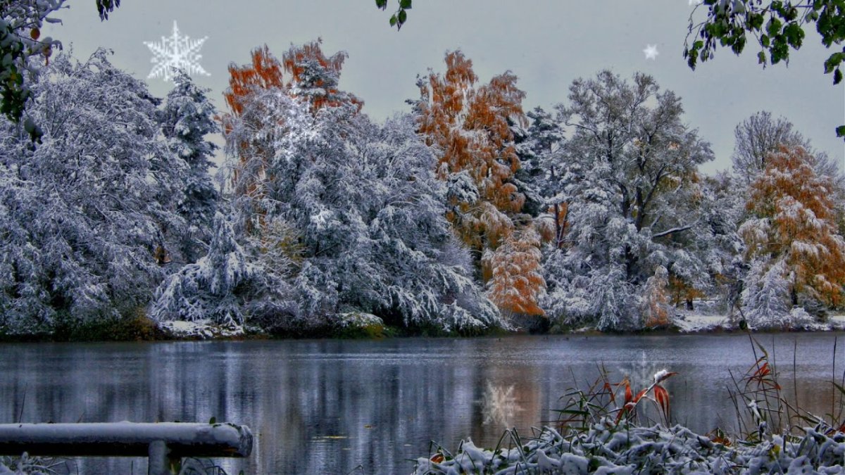 Кпвсиы=вые картинки поздняя конец зимы