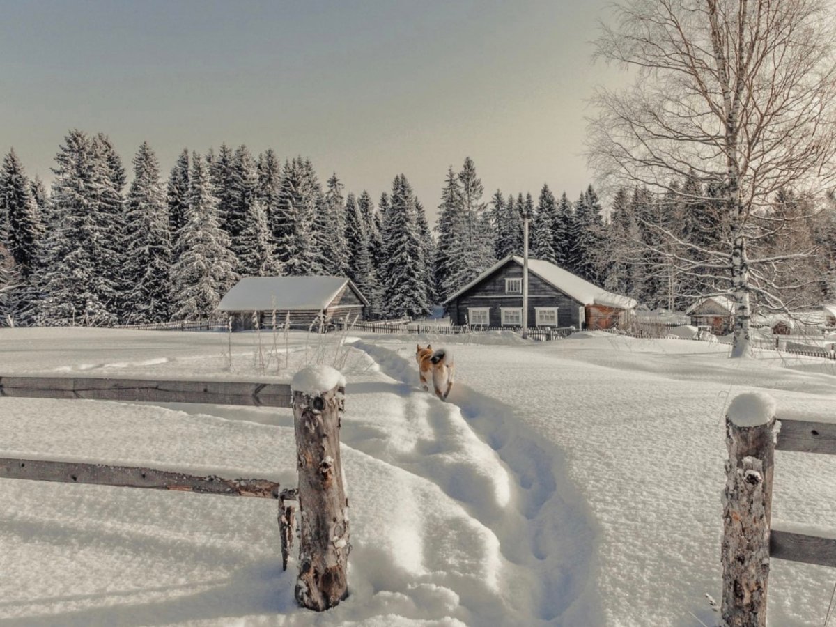 Февраль в деревне