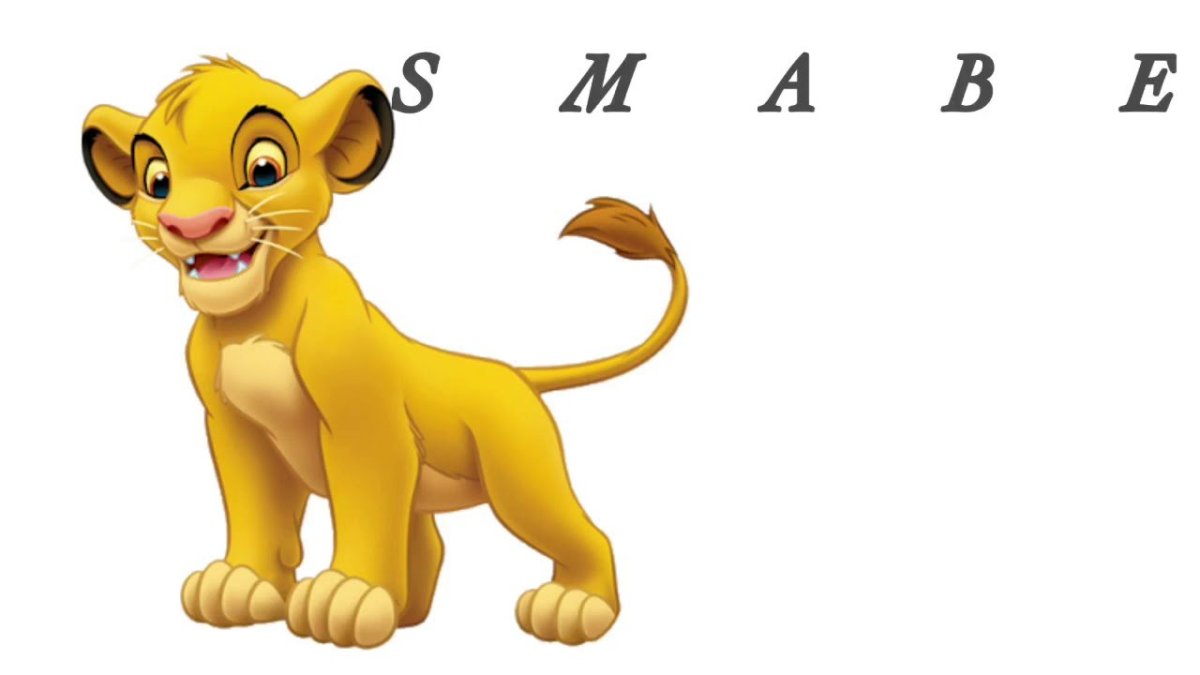 Король Лев Киара на белом фоне