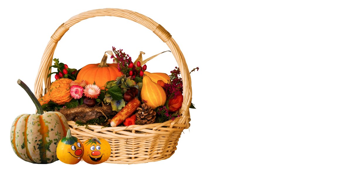 Осенние дары природы