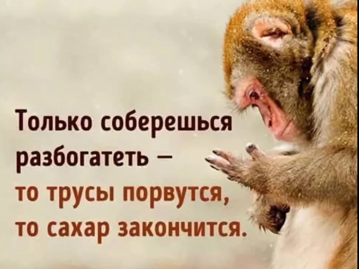 Высказывания поднимающие настроение