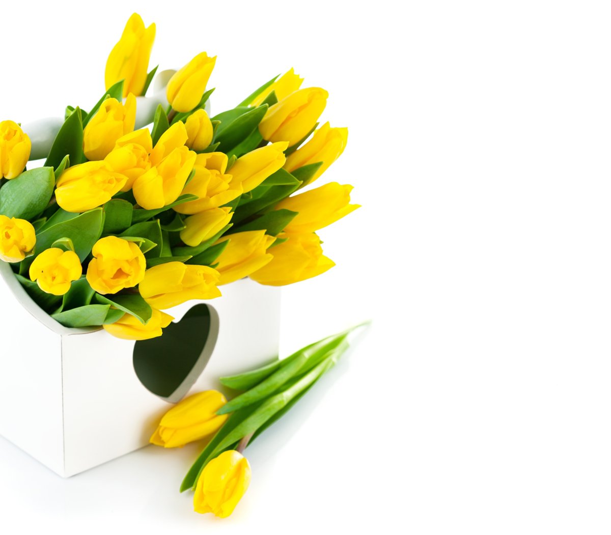 Букет желтых тюльпанов на белом фоне
