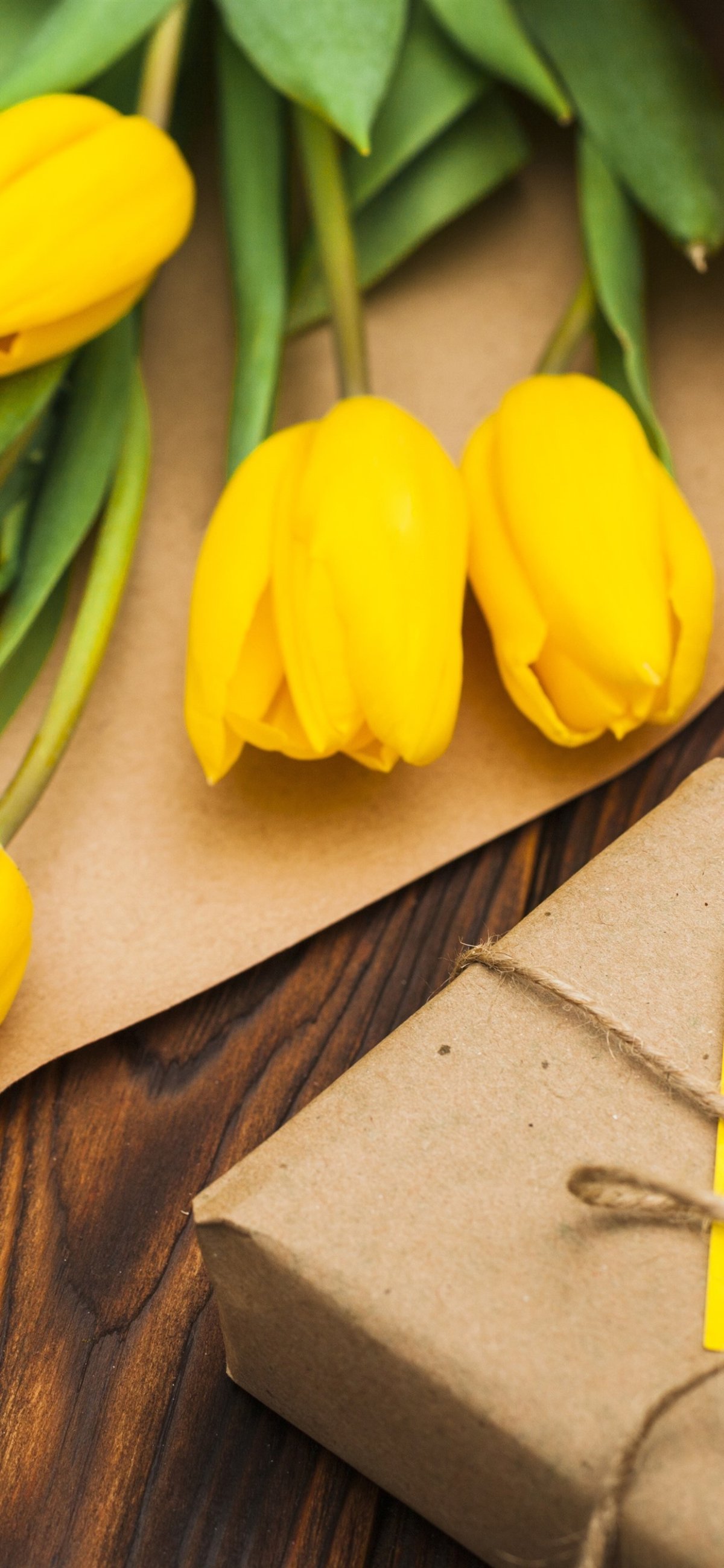 Желтые тюльпаны Эстетика