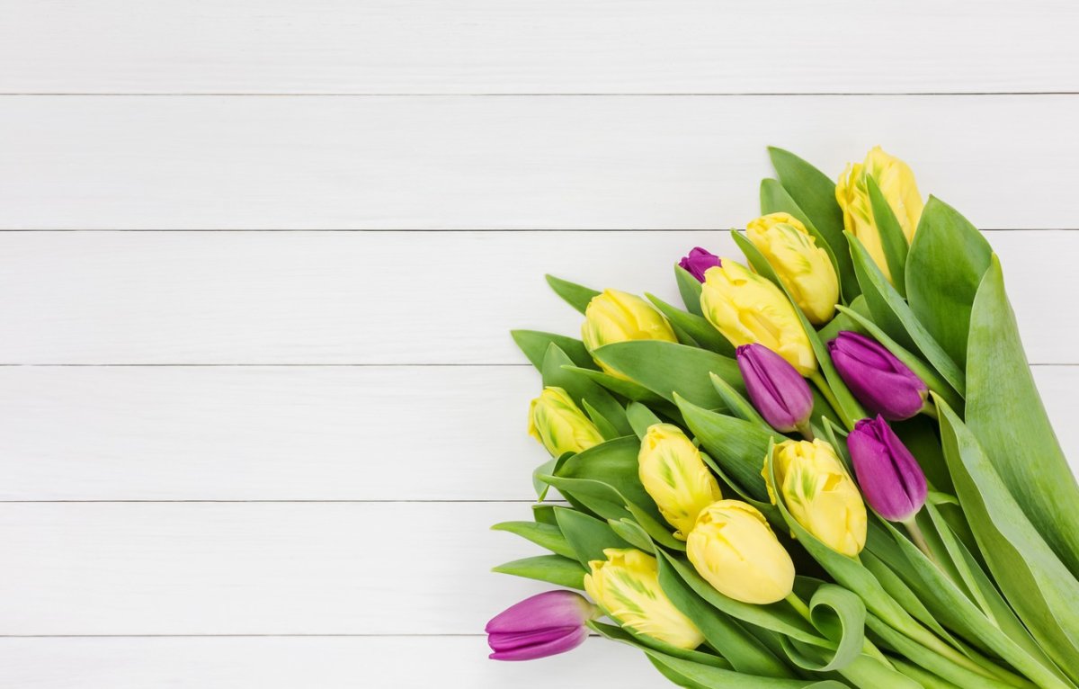 Букет тюльпанов сверху