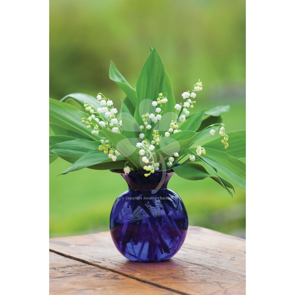 Ландыши в вазе