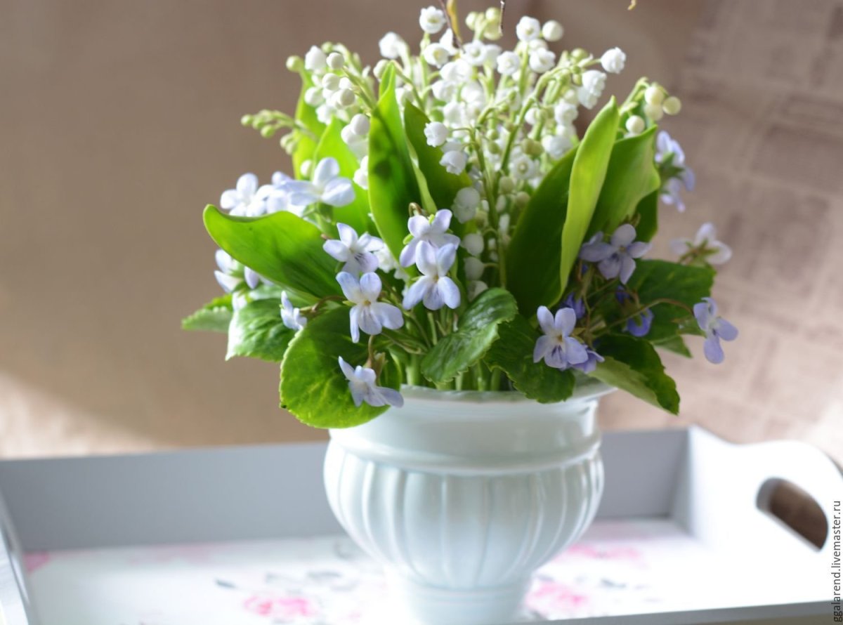 Фиалка Подснежник