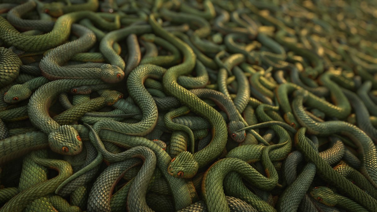 Фон для змейки