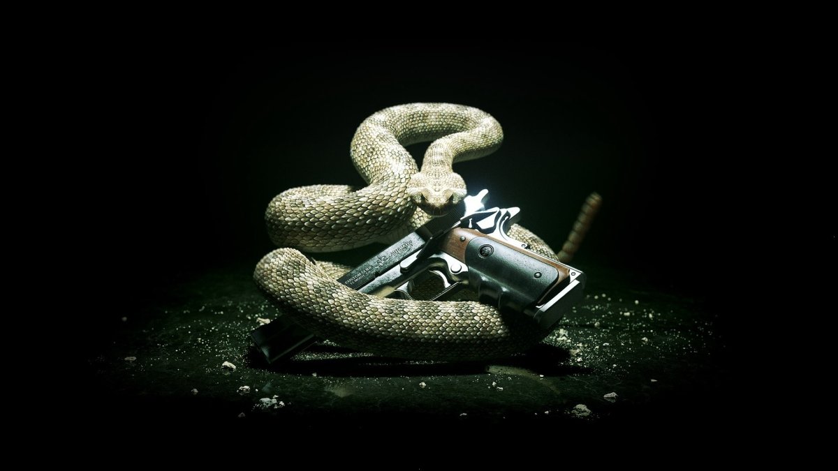 Хитмэн абсолюшен змея