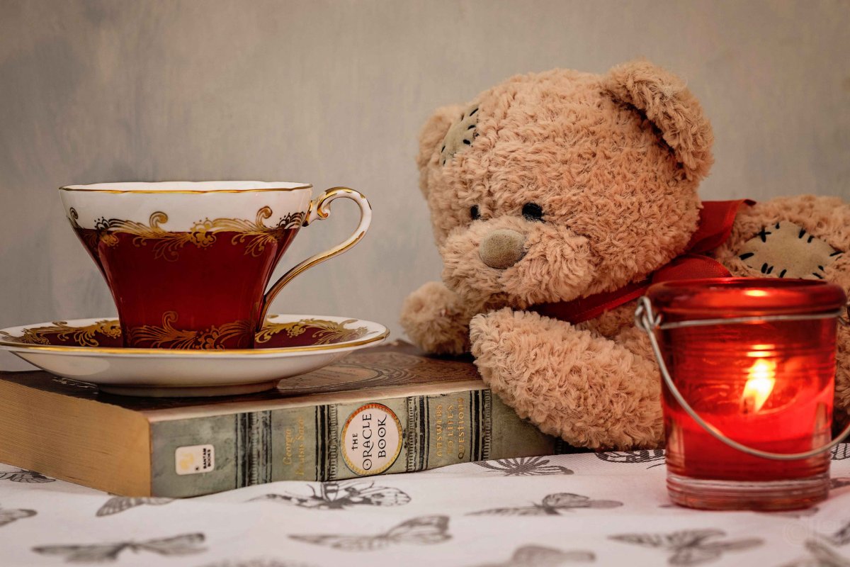 Большой медведь для девочек