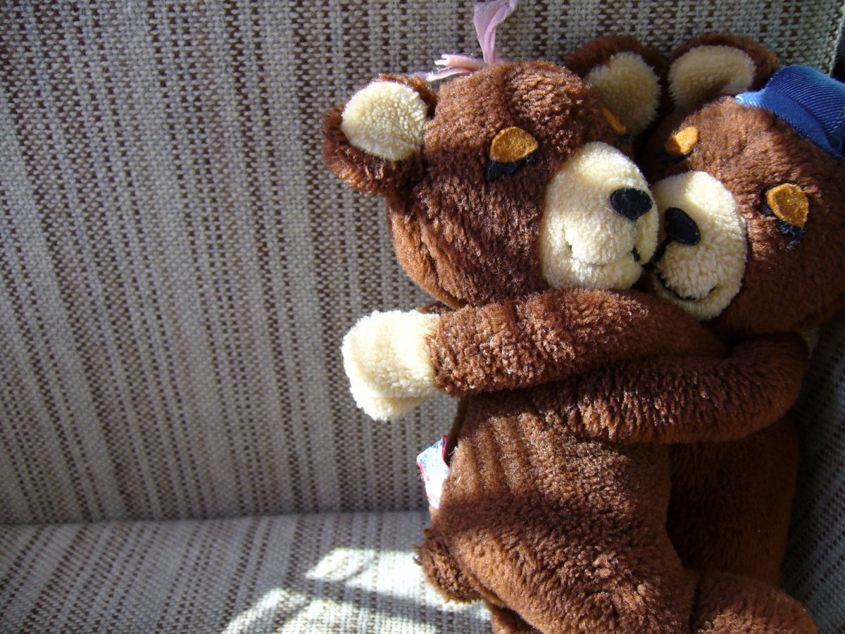 Мишка обнимает