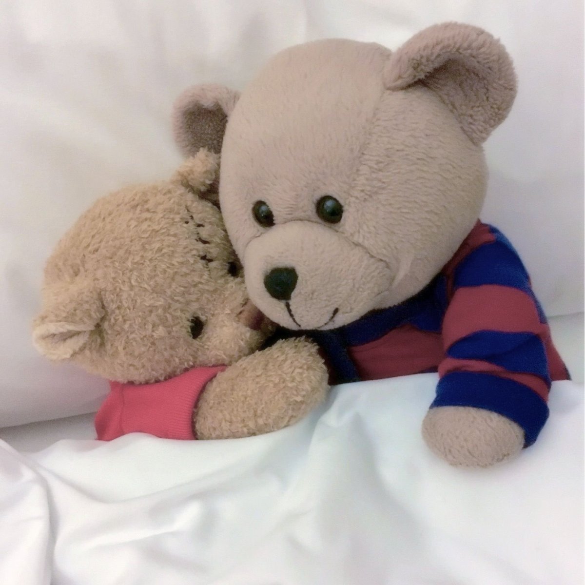 Влюбленные мишки