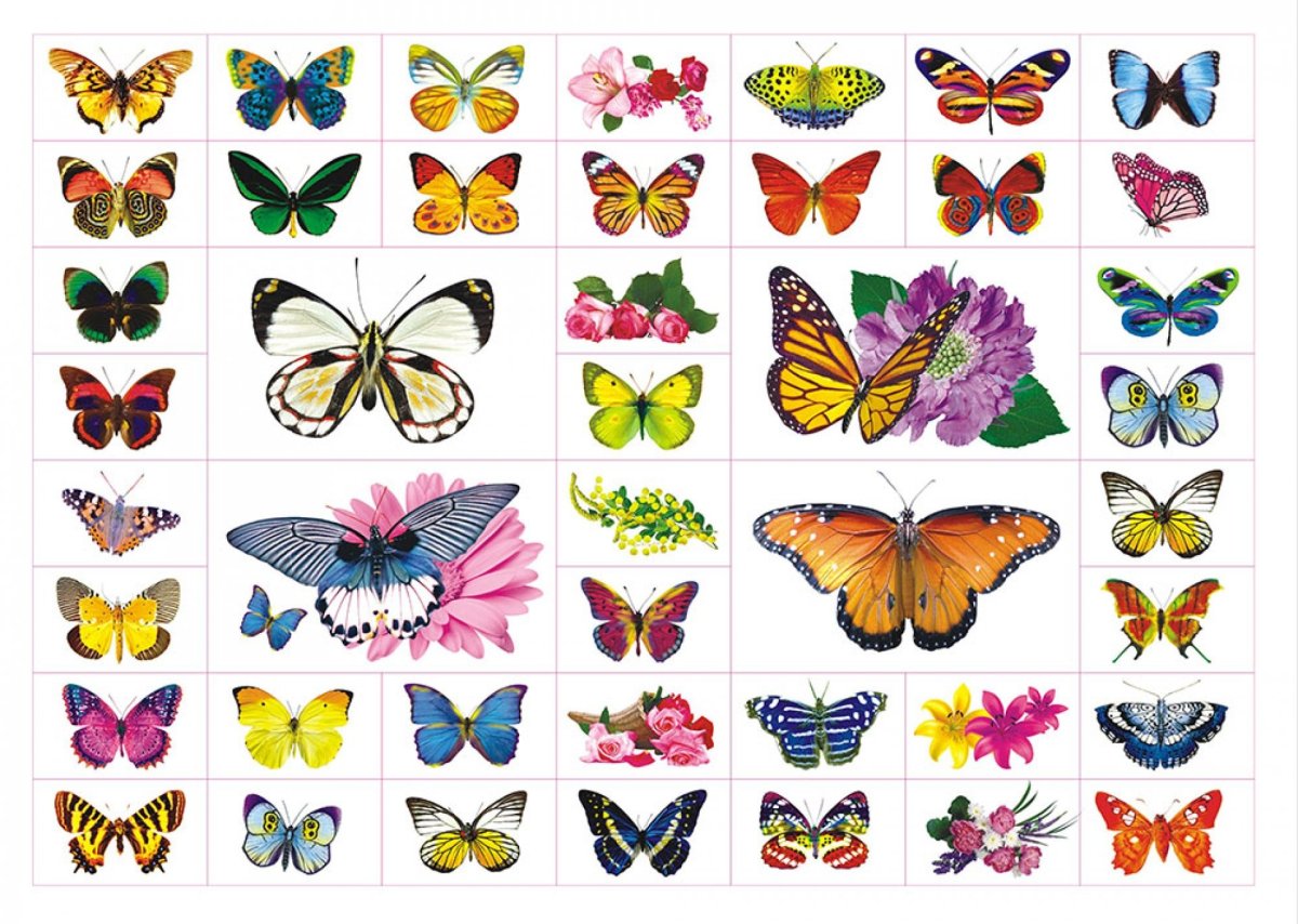 Наклейка "бабочки"