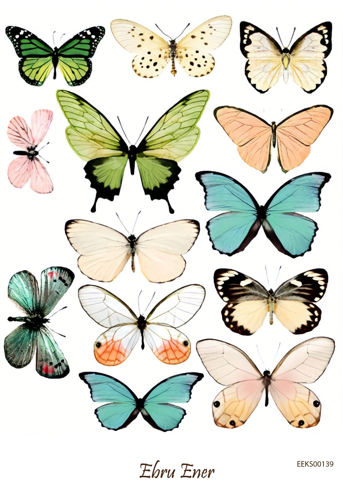 Всех видов бабочек