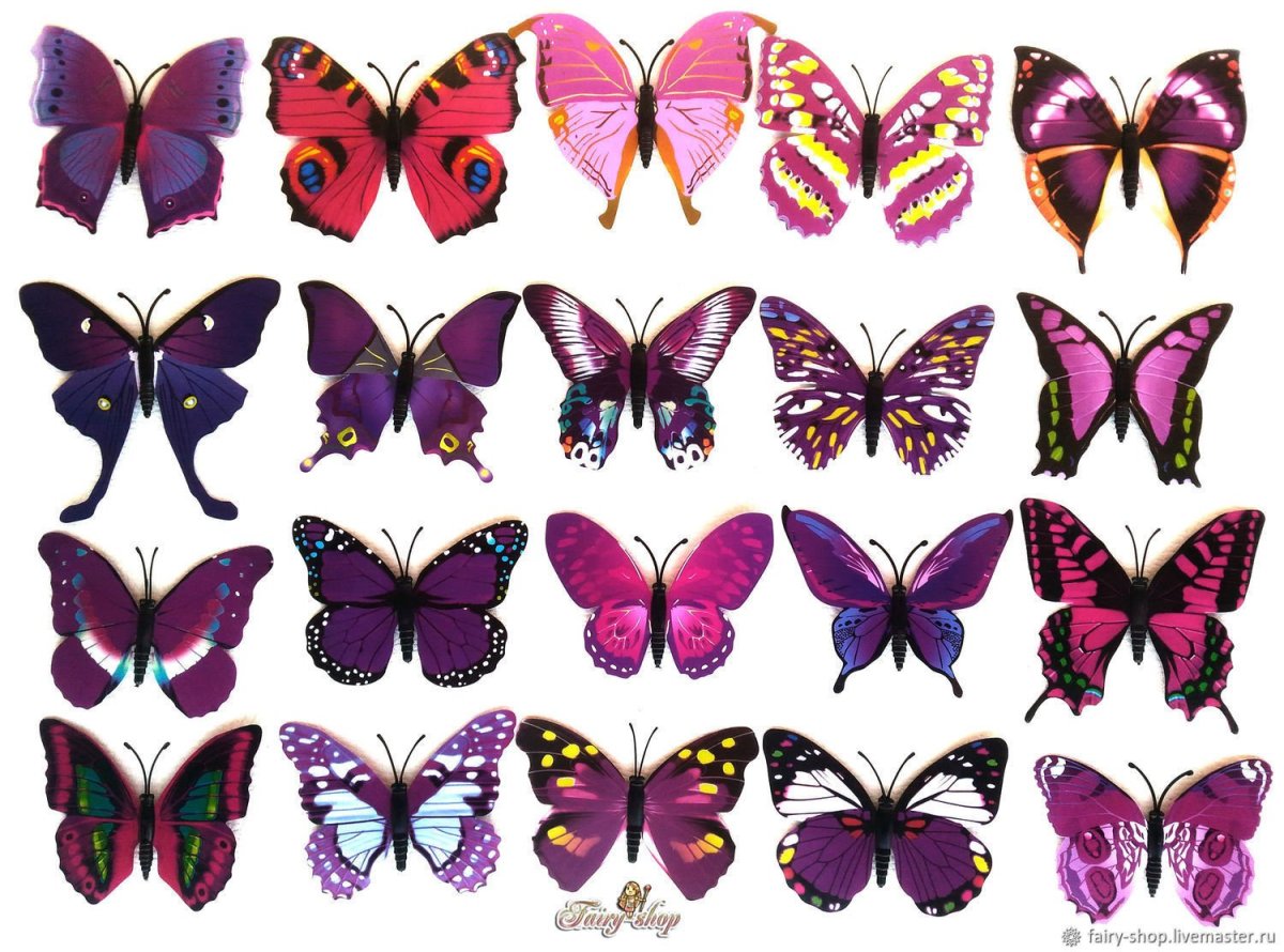 Бабочки на сахарной бумаге