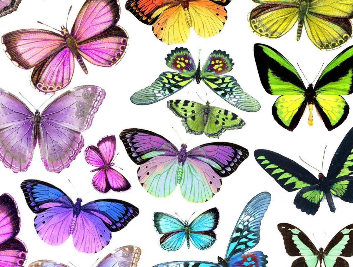 Картинки для украшения комнаты для срисовки