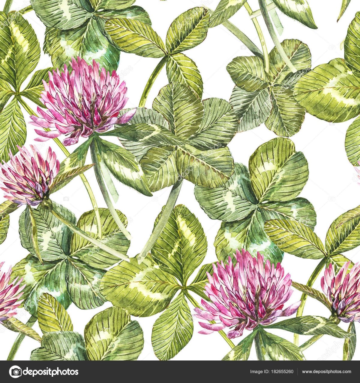 Трава Клевер картина