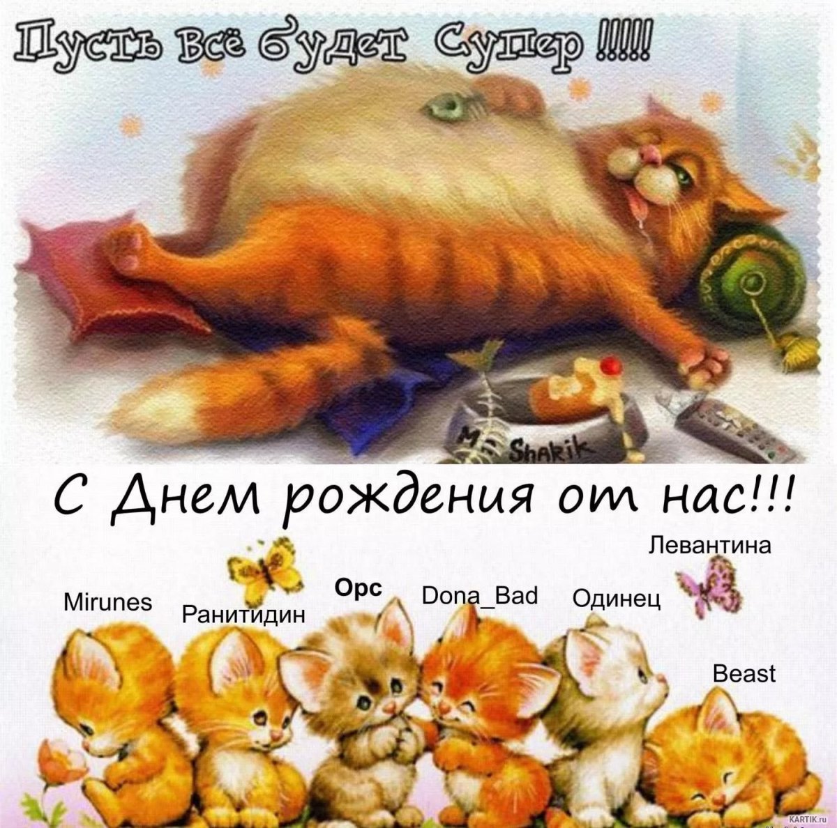 Мемы с котами