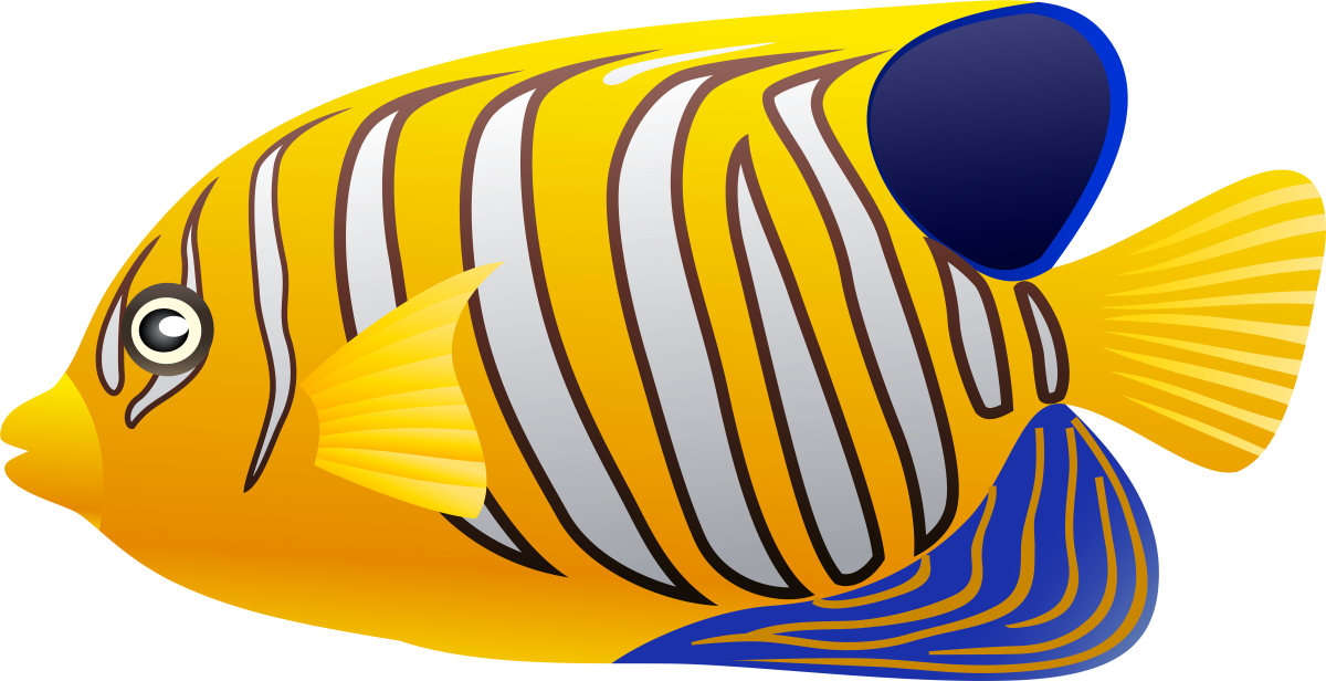 Рыбка на прозрачном фоне