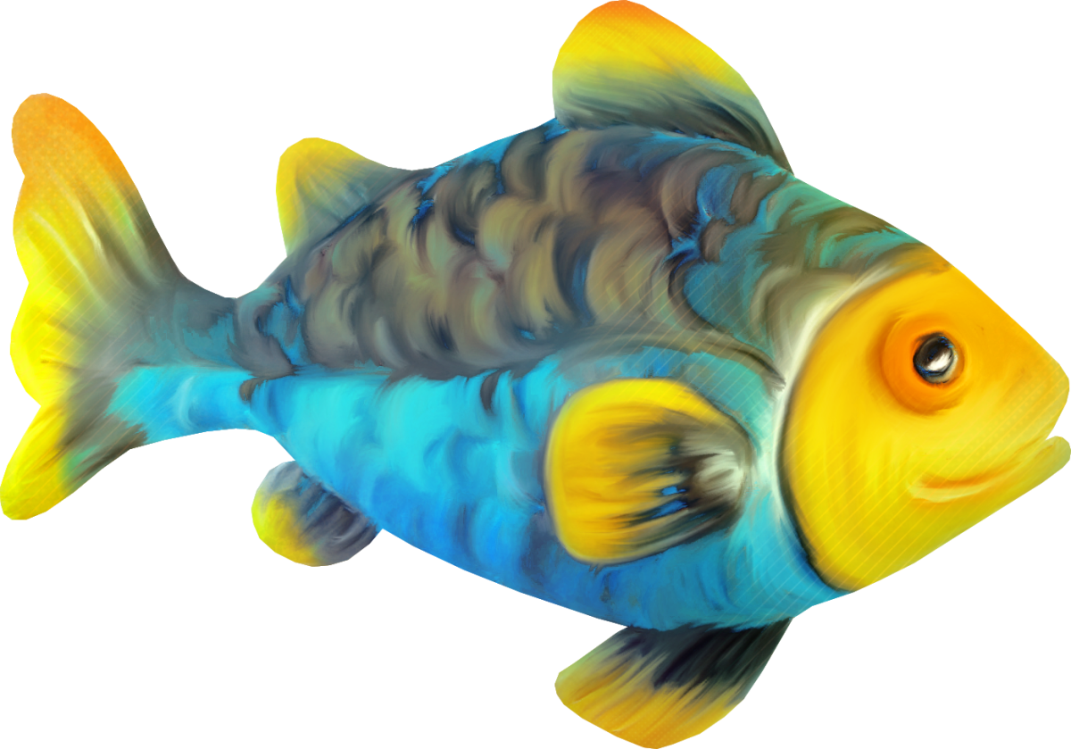 Рыба клоун вид сбоку