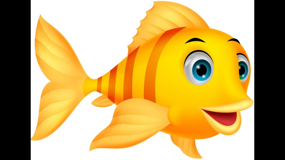 Много рыбы на белом фоне