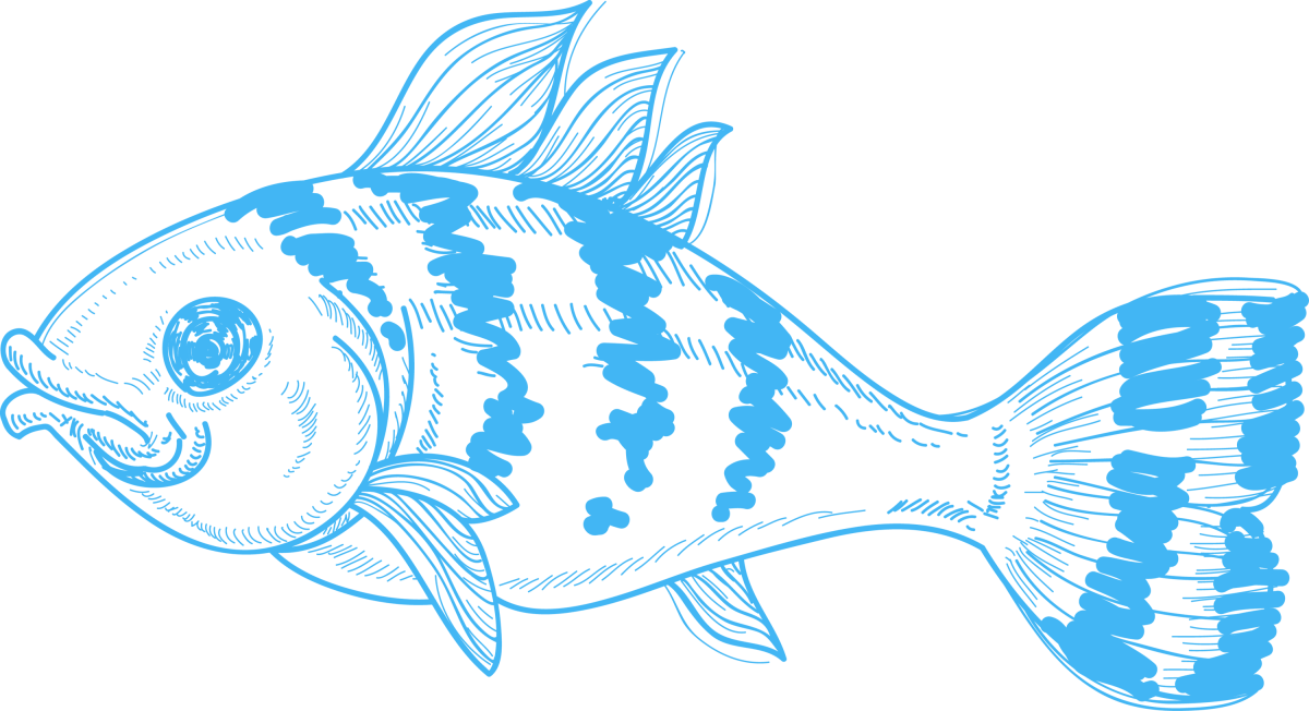 Рыба на белом фоне