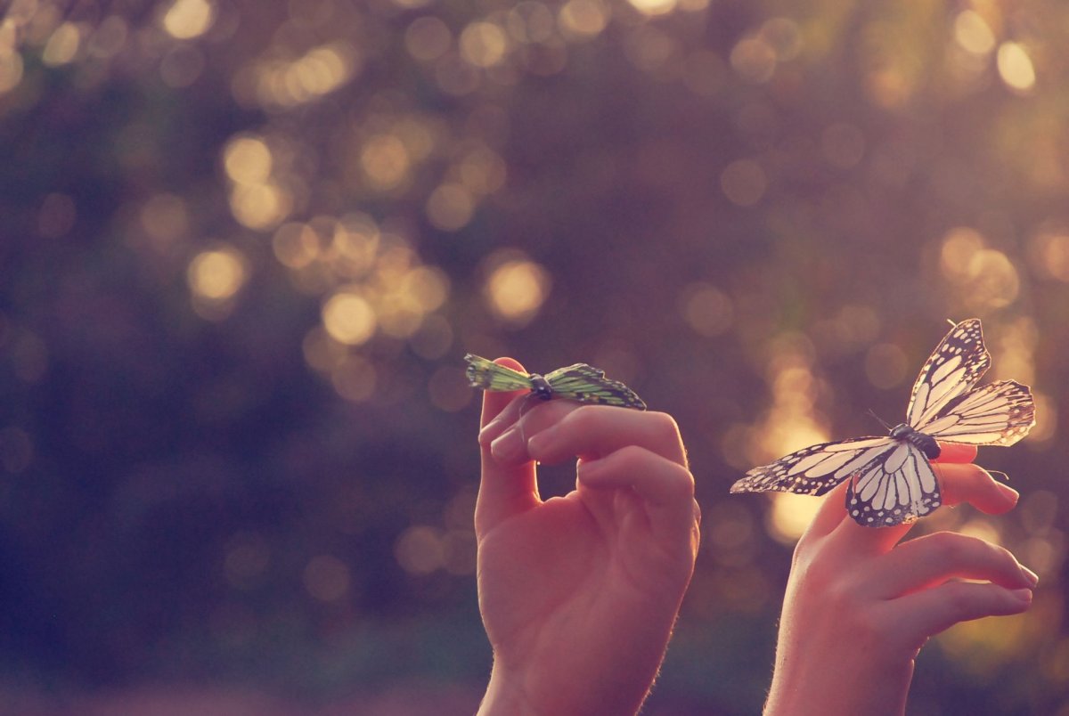Бабочка на женской руке