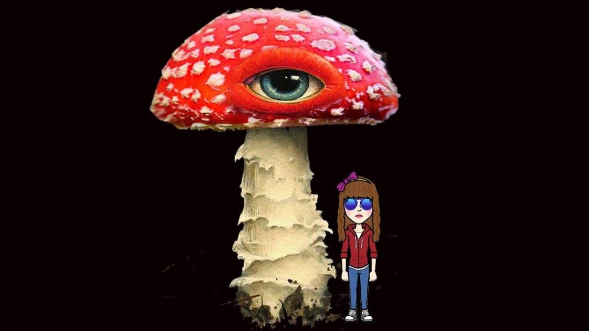 Ленин гриб арт