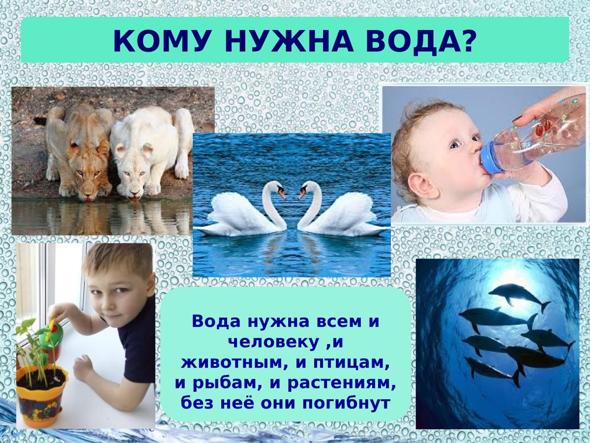 Вода для презентации