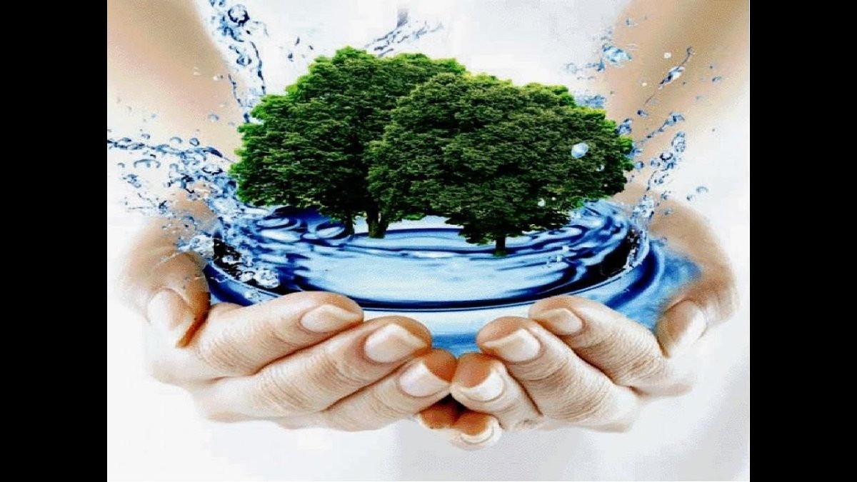 Тема недели волшебница вода