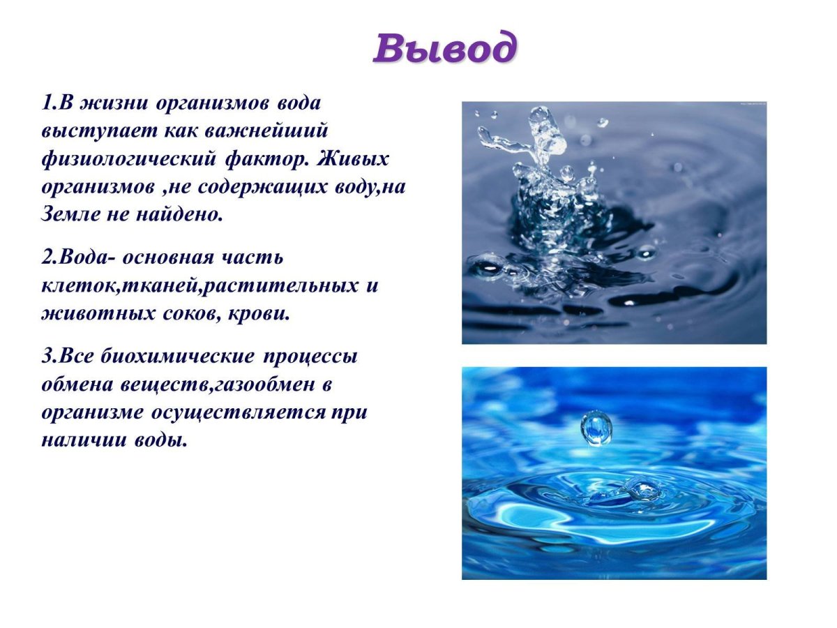 День воды