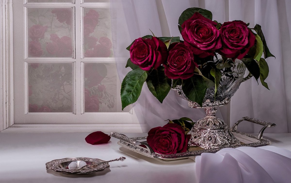 Добрый вечер