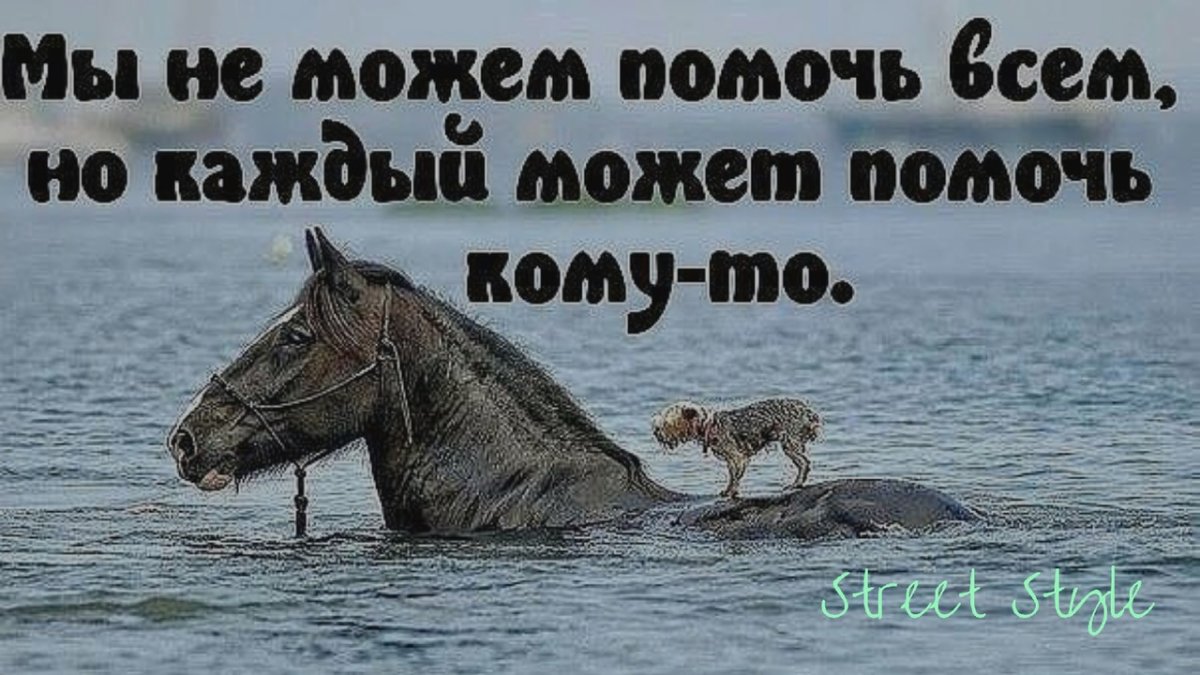 Цитаты про хорошие моменты