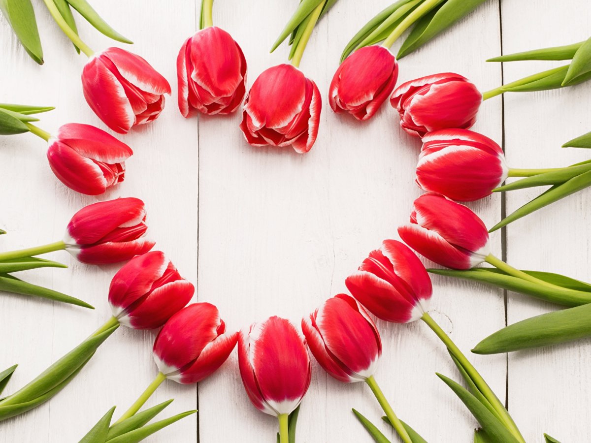Тюльпаны для любимой