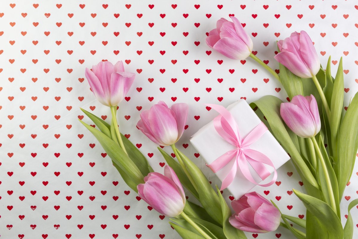 Розовые тюльпаны