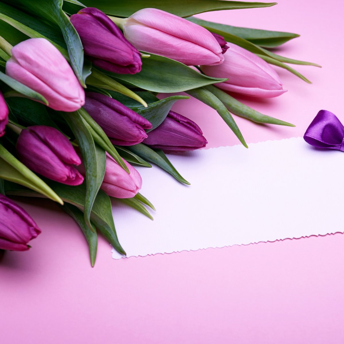 Тюльпаны открытка