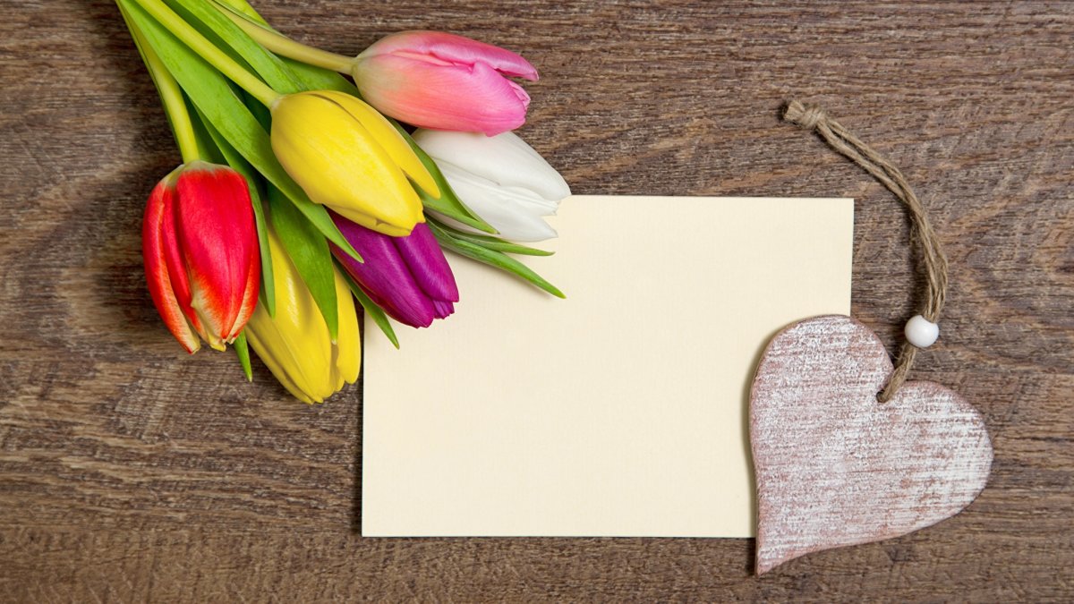 Тюльпаны открытка