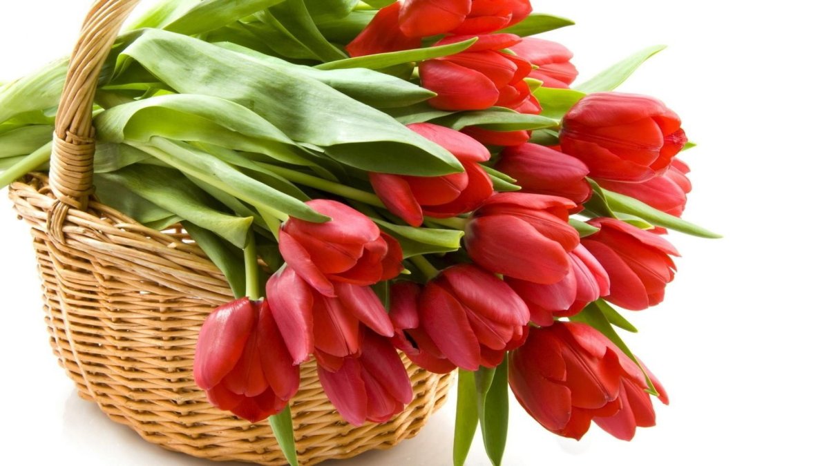 С днем матери цветы