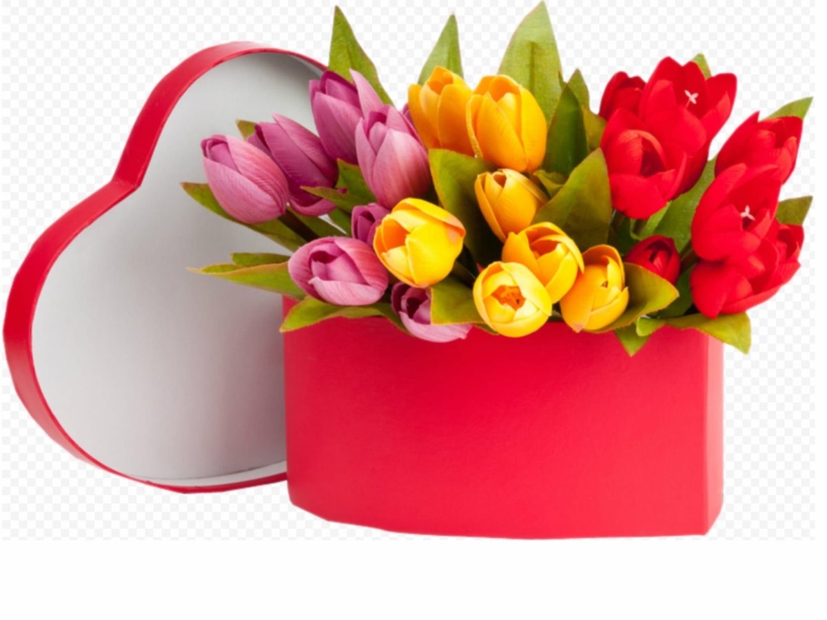 Тюльпаны открытка