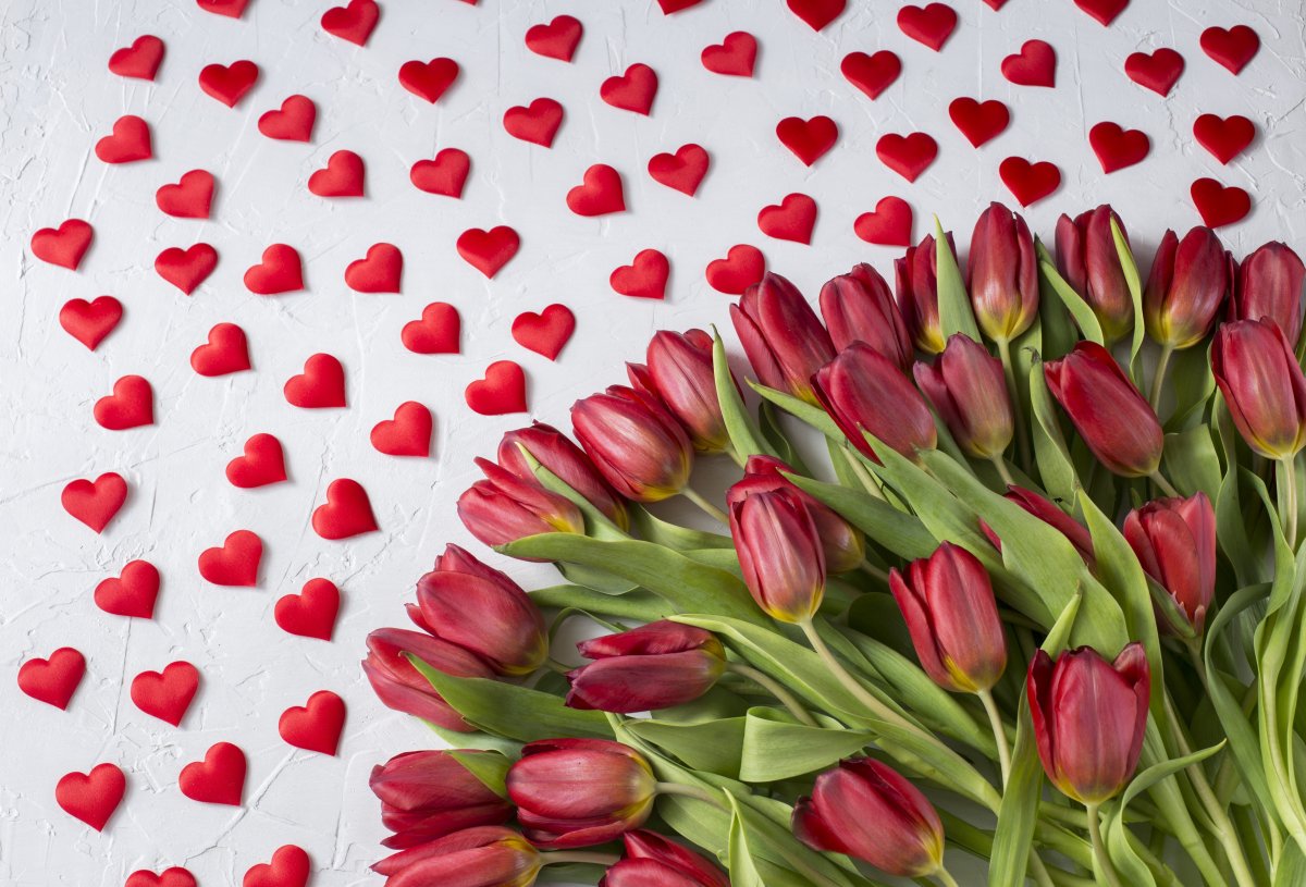 День рождения мамы