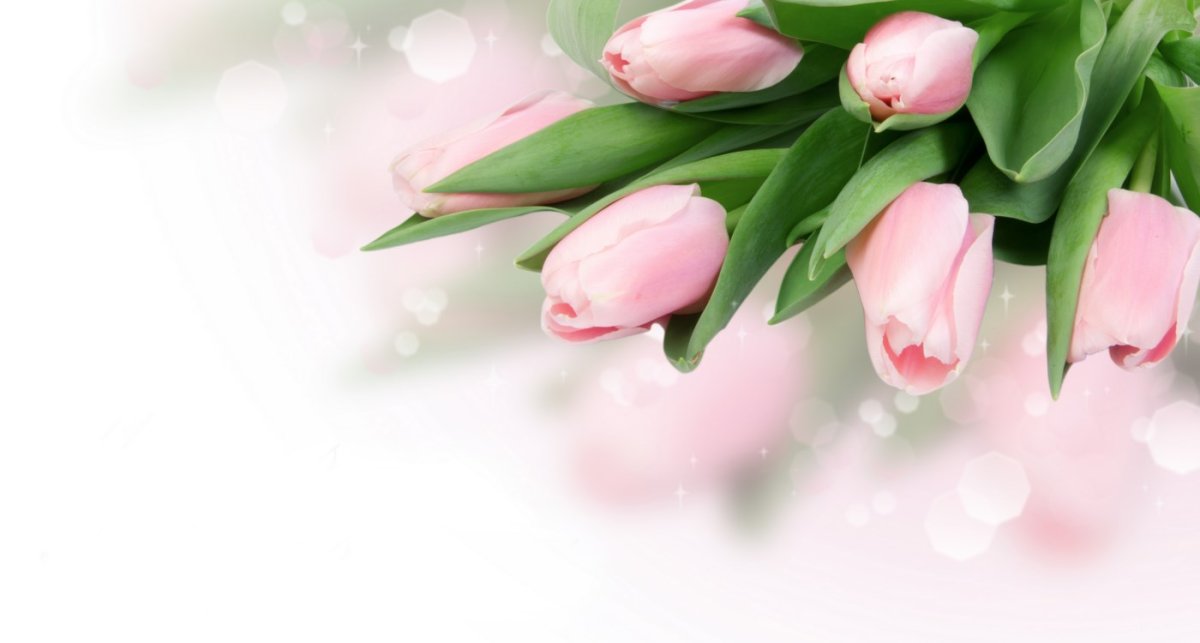 Сердце из тюльпанов